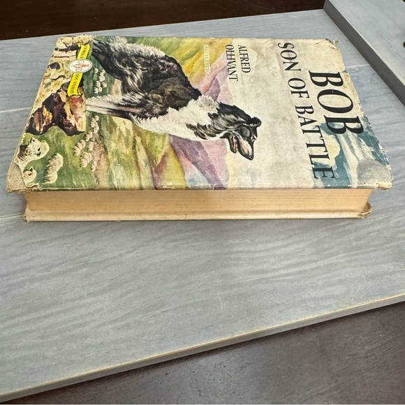 Alfred Ollivant Bob Son of Battle Famous Dog Stories Illustrated Vintage 1955 - Picture 4 of 13
